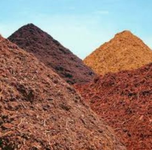 Reliable Rain Turf and irrigation - tree service in Jacksonville, FL