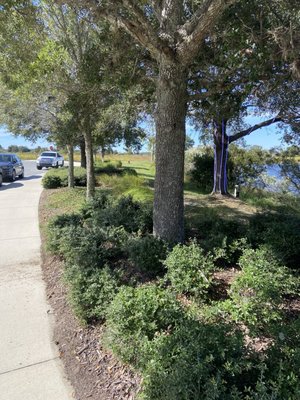 Laureate Park by null