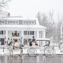 Dorset Union Store - Photo of horse being used to pull carriage by driver in front of Dorset Inn while snowing