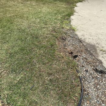 Orange County Tree Services - After - Tree Services Near Me