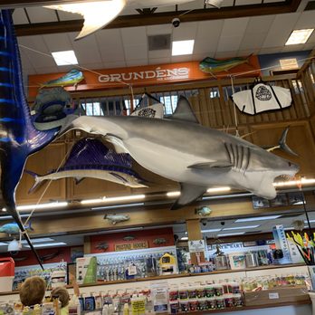 The Longfin - Decor: Shark! - Outdoor Gear Near Me - Orange, California The Longfin - Decor: Shark! - Outdoor Gear Near Me - Orange, California