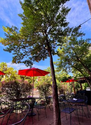 The Gin Room by null