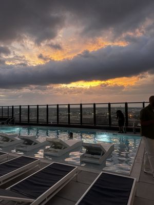 Rose & Thorn by null