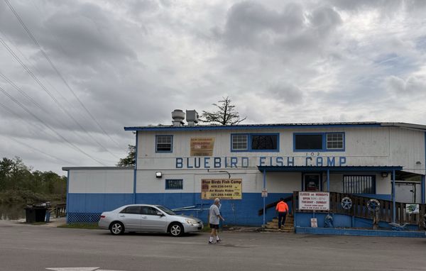 Bluebird Fish Camp by null