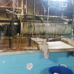 Fishermen's Friend Bait Shop