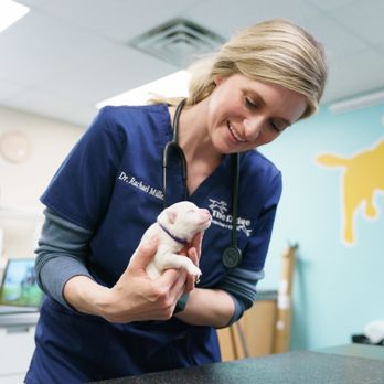 The Ridge Veterinary Clinic - Veterinarians Near Me - Omaha, Nebraska The Ridge Veterinary Clinic - Veterinarians Near Me - Omaha, Nebraska