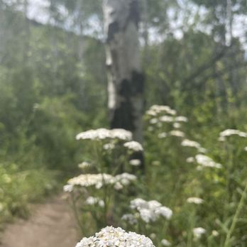 Farm Trailhead - McPolin Farm Nature Trail, Park City, Utah - Hiking Near Me - Park City, Utah Farm Trailhead - McPolin Farm Nature Trail, Park City, Utah - Hiking Near Me - Park City, Utah
