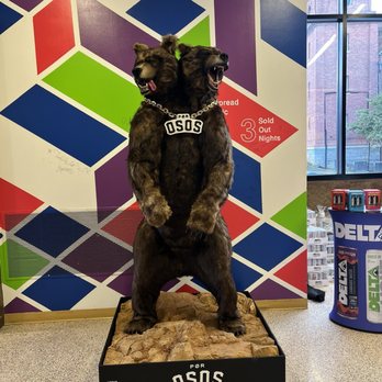 Harrah's Cherokee Center - Only one bear is here tonight. - Stadiums & Arenas Near Me - Asheville, North Carolina