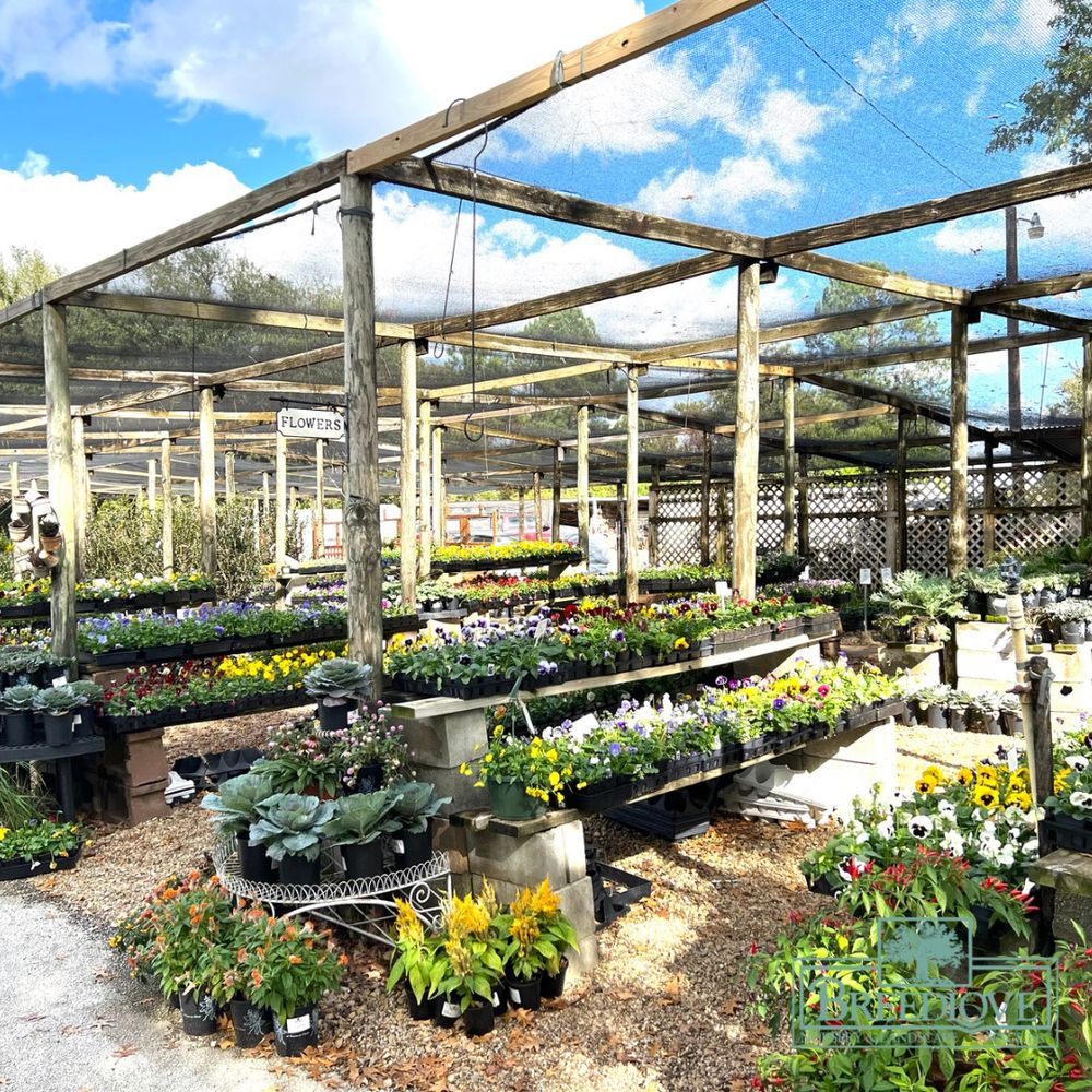 BREEDLOVE NURSERY & LANDSCAPE Updated September 2024 11576 W Erwin