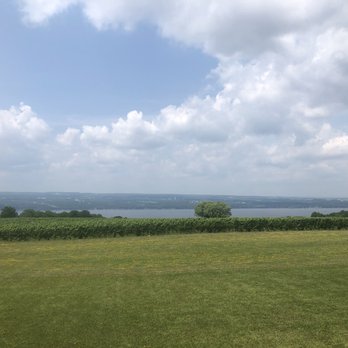 Ginny Lee Cafe - a view of a field with a lake in the distance - Venues & Event Spaces Near Me - Lodi, New York