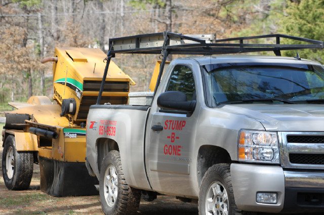 Stump-B-Gone - tree service in North Little Rock, AR