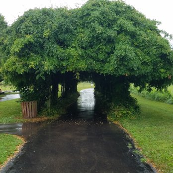 Blue Heron Park - path through the grove - Parks Near Me - Franklin, Indiana