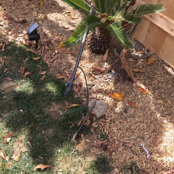 Frontier Fence - Drip system line just dangling over my tree - Fences & Gates Near Me - Escondido, California Frontier Fence - Drip system line just dangling over my tree - Fences & Gates Near Me - Escondido, California