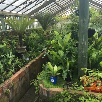 Heyne's Nurseries - Nurseries & Gardening Near Me - Beulah Park, SA