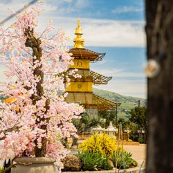 Tam Tu Metta Buddhist Temple & Heritage Garden