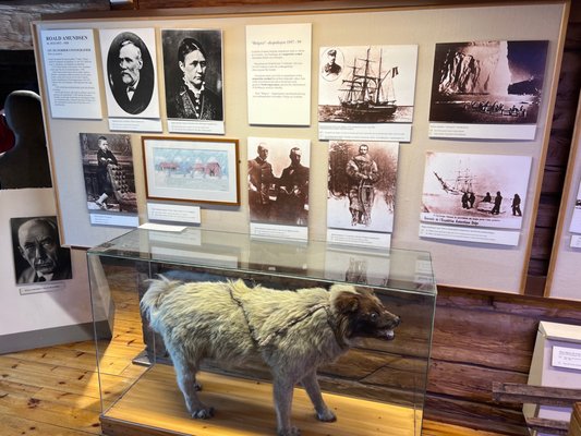 The Polar Museum by null
