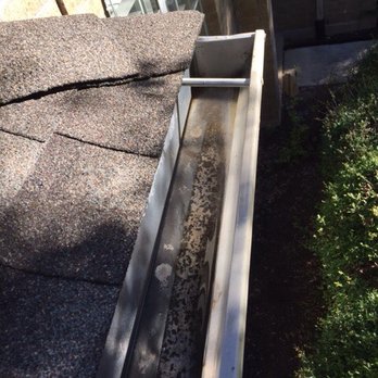 Clean Bee Window Cleaning - Window Washing Near Me - Austin, Texas