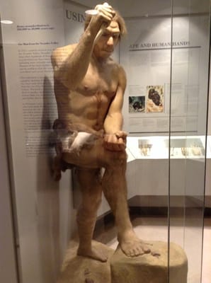 Maxwell Museum of Anthropology by null