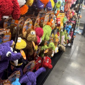 Paws on Chicon - Pet Stores Near Me - Austin, Texas