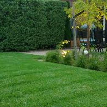 Liberty Lawn Maintenance - Lawn mowing Surrey BC - Landscaping Near Me - Surrey, British Columbia Liberty Lawn Maintenance - Lawn mowing Surrey BC - Landscaping Near Me - Surrey, British Columbia