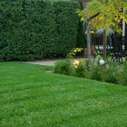 Liberty Lawn Maintenance - Lawn mowing Surrey BC