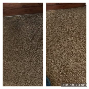 Spots Carpets - Bathroom threshold left is before, right is after. - Carpet Cleaning Near Me