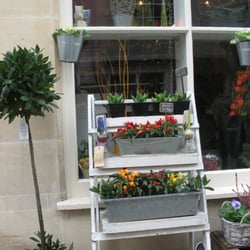 The Wild Bunch - The Wild Bunch, Bath