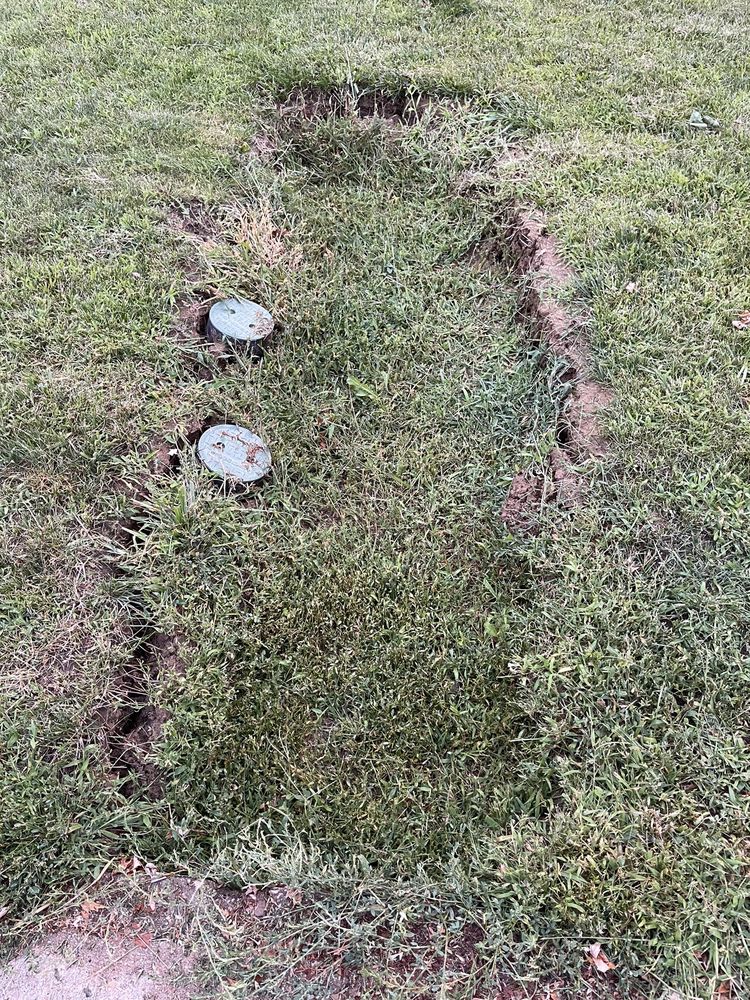 Slide of Rooter Town