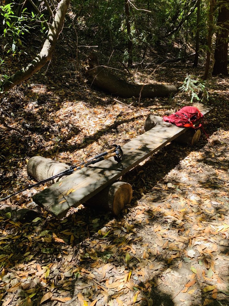 LEONA QUARRY TRAIL Updated June 2024 Oakland, California Hiking