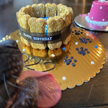 Pawtriotic Dog Bakery - As you can see Apollo couldn't wait!! - Pet Stores Near Me - Murrieta, California Pawtriotic Dog Bakery - As you can see Apollo couldn't wait!! - Pet Stores Near Me - Murrieta, California