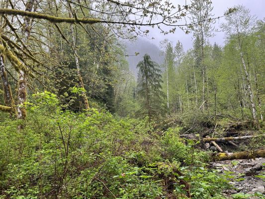 Bridal Veil Falls by null