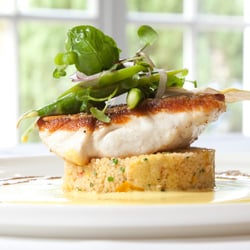 Chill On Tedder Dining & Wine Bar - Chill on Tedder - Snapper