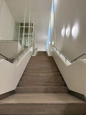 Kunstsammlung Nordrhein-Westfalen by null