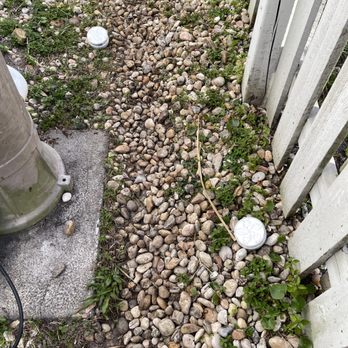 Dunota Pool Services & Supplies - Took the lights out of the pool and threw them on the ground on the side of the house. - Pool Cleaners Near Me - Orlando, Florida