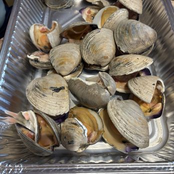 Vault 232 - Seafood Near Me - Lake Zurich, Illinois