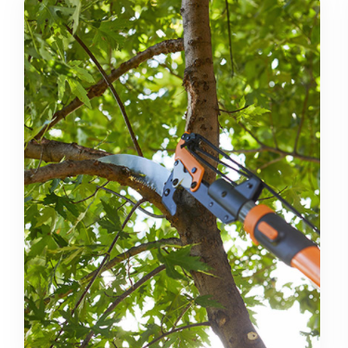 Valdez Landscaping Services - prunizing a tree - Landscaping Near Me Valdez Landscaping Services - prunizing a tree - Landscaping Near Me