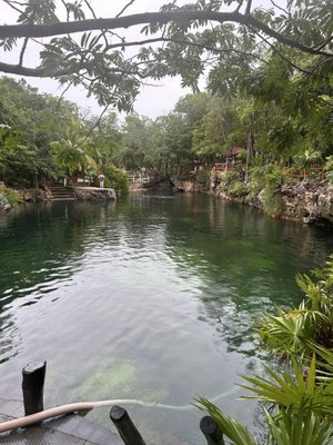 Cenote Tortuga by null