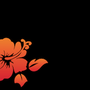 Photo of Massage Aloha