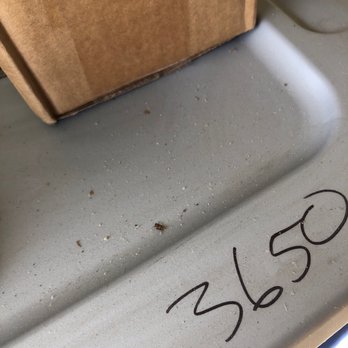 Extra Space Storage - Self Storage Near Me - Santa Rosa, California