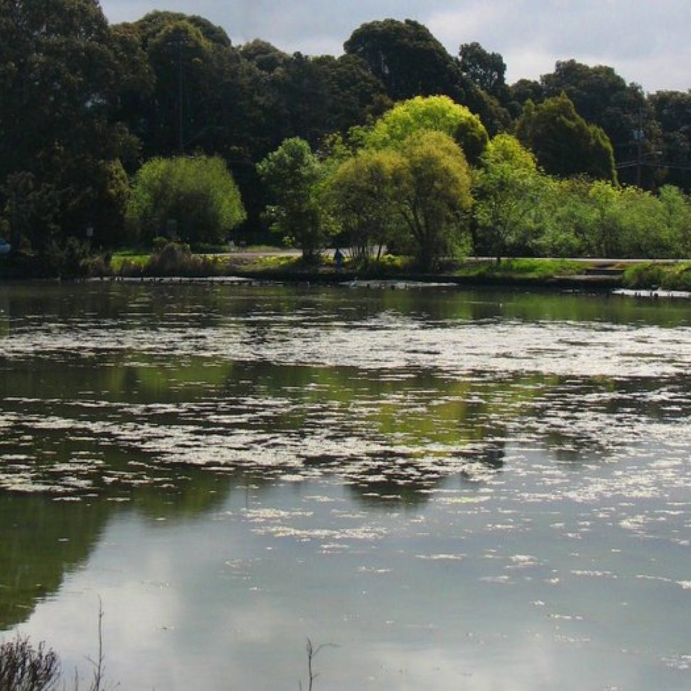 Berkeley Aquatic Park - Parks Near Me - Berkeley, California