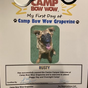 Camp Bow Wow - So proud of our pup when he passed his interview - Pet Boarding Near Me - Grapevine, Texas