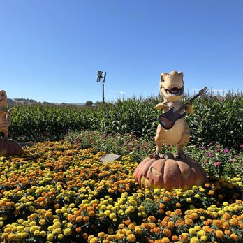 Spina Farms - Farmers Market Near Me - Morgan Hill, California Spina Farms - Farmers Market Near Me - Morgan Hill, California