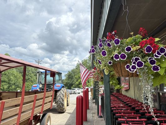 Mercier Orchards by null