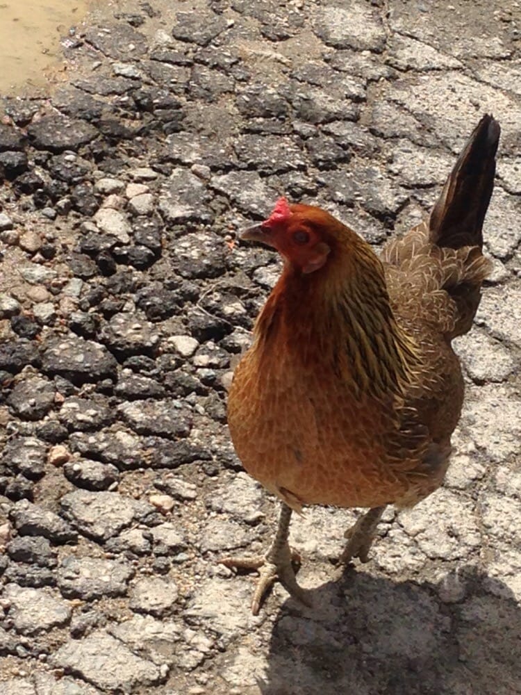 MITCHELL’S FOOD MART Updated September 2024 5021 Zebulon Rd