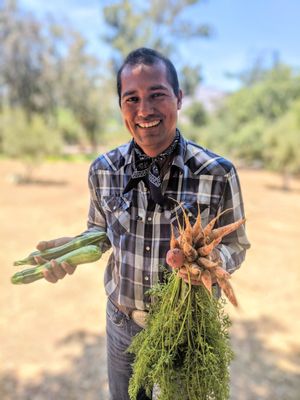 Organic Garden Beds - Call today!