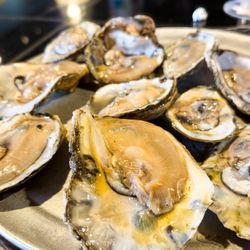 The Full Moon Oyster Bar - Raw oysters