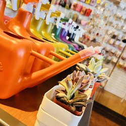 Local Fixture Coffee Bar - Plant care section