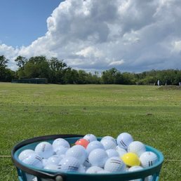 Big Dog Bucket (170-180 balls)