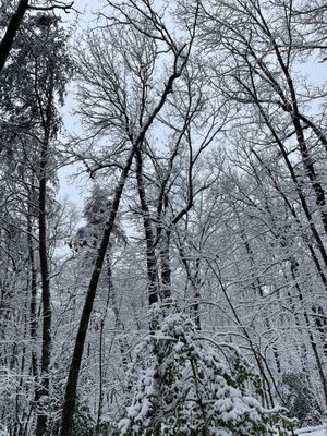 Fall Creek Falls by null