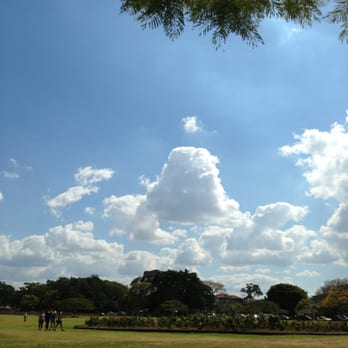 New Farm Park - Brisbane's best - Parks Near Me - New Farm, QLD